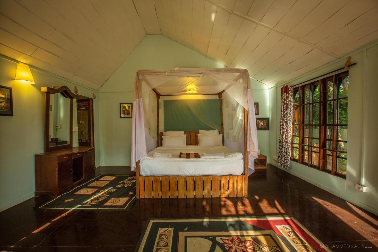 La La Land Resort Goa By Spicy Mango 帕罗林 外观 照片
