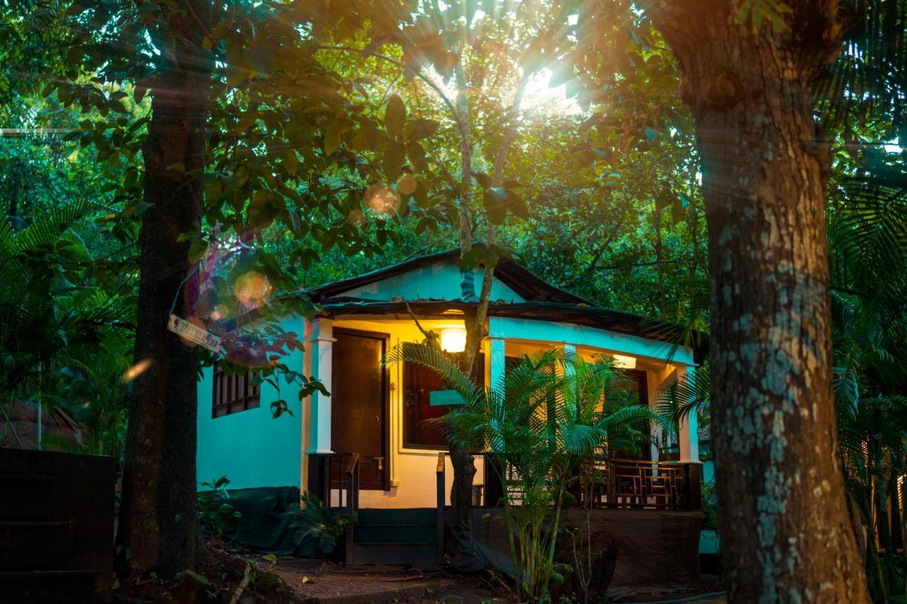 La La Land Resort Goa By Spicy Mango 帕罗林 外观 照片