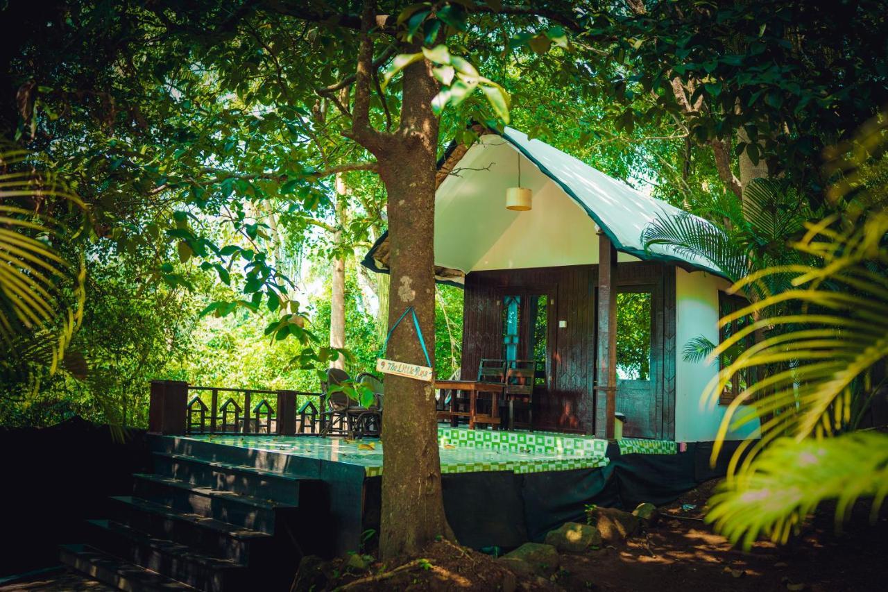 La La Land Resort Goa By Spicy Mango 帕罗林 外观 照片