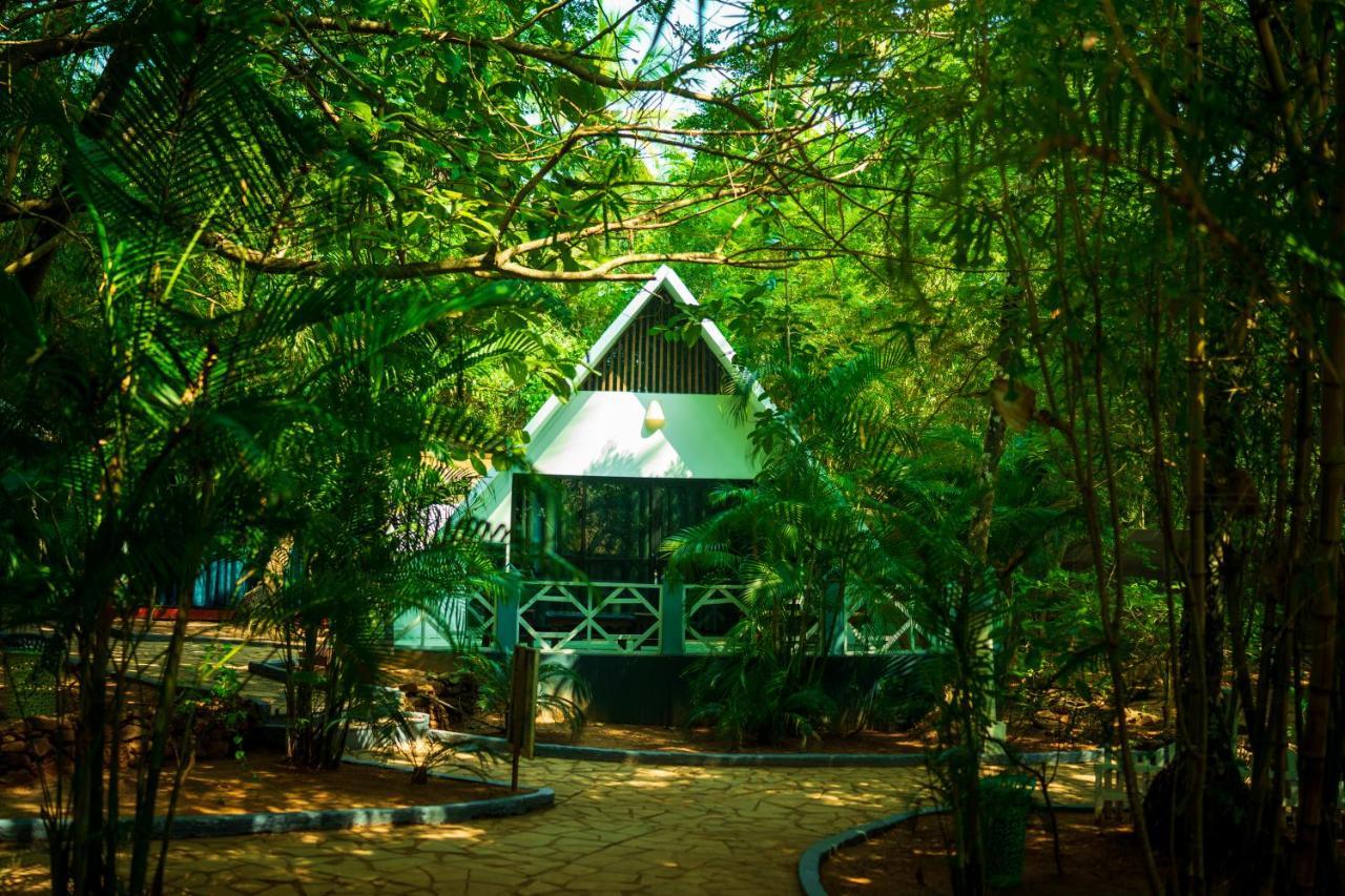 La La Land Resort Goa By Spicy Mango 帕罗林 外观 照片